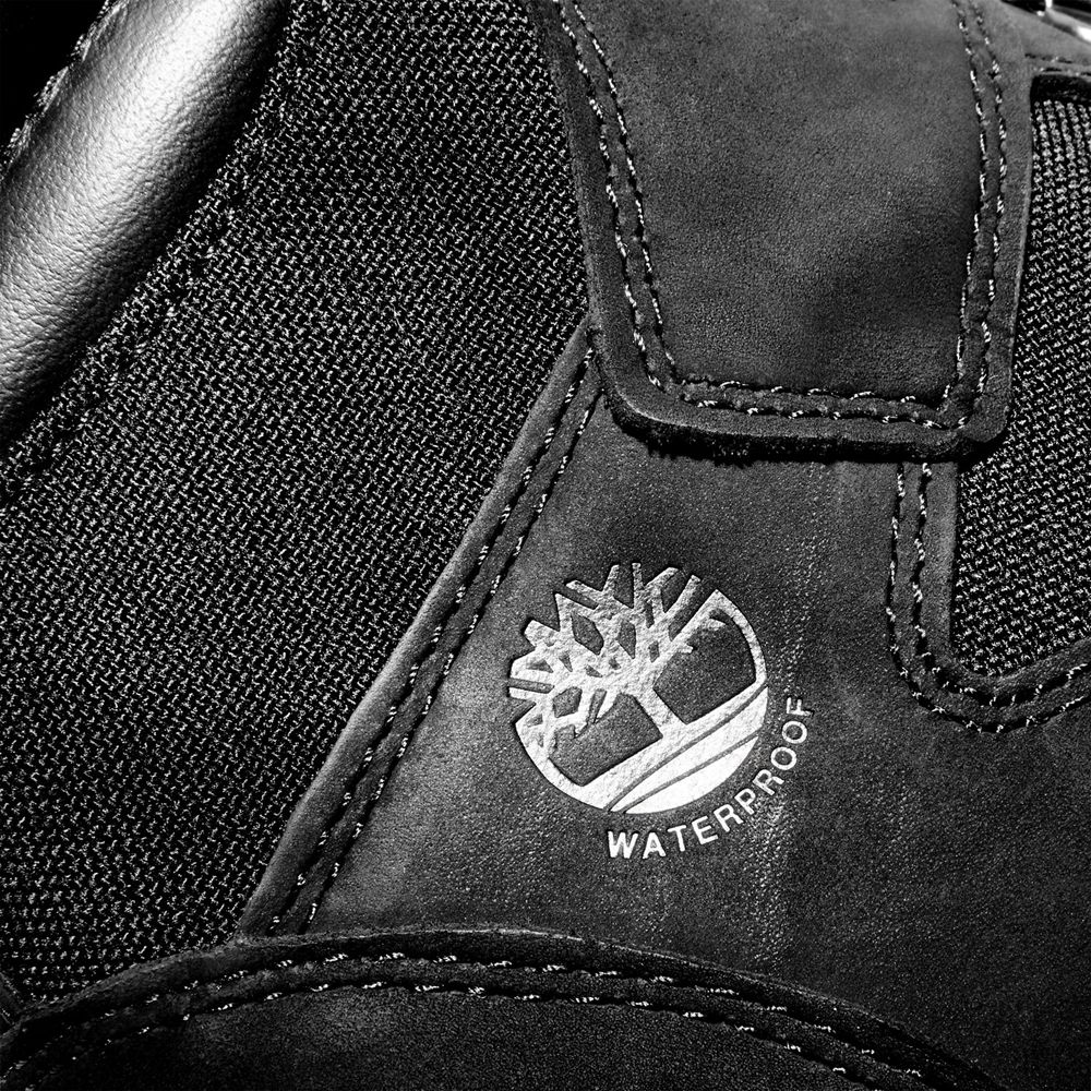 Bototos Timberland Hombre 6-Inch Waterproof Field Negras - Chile ANH-398641